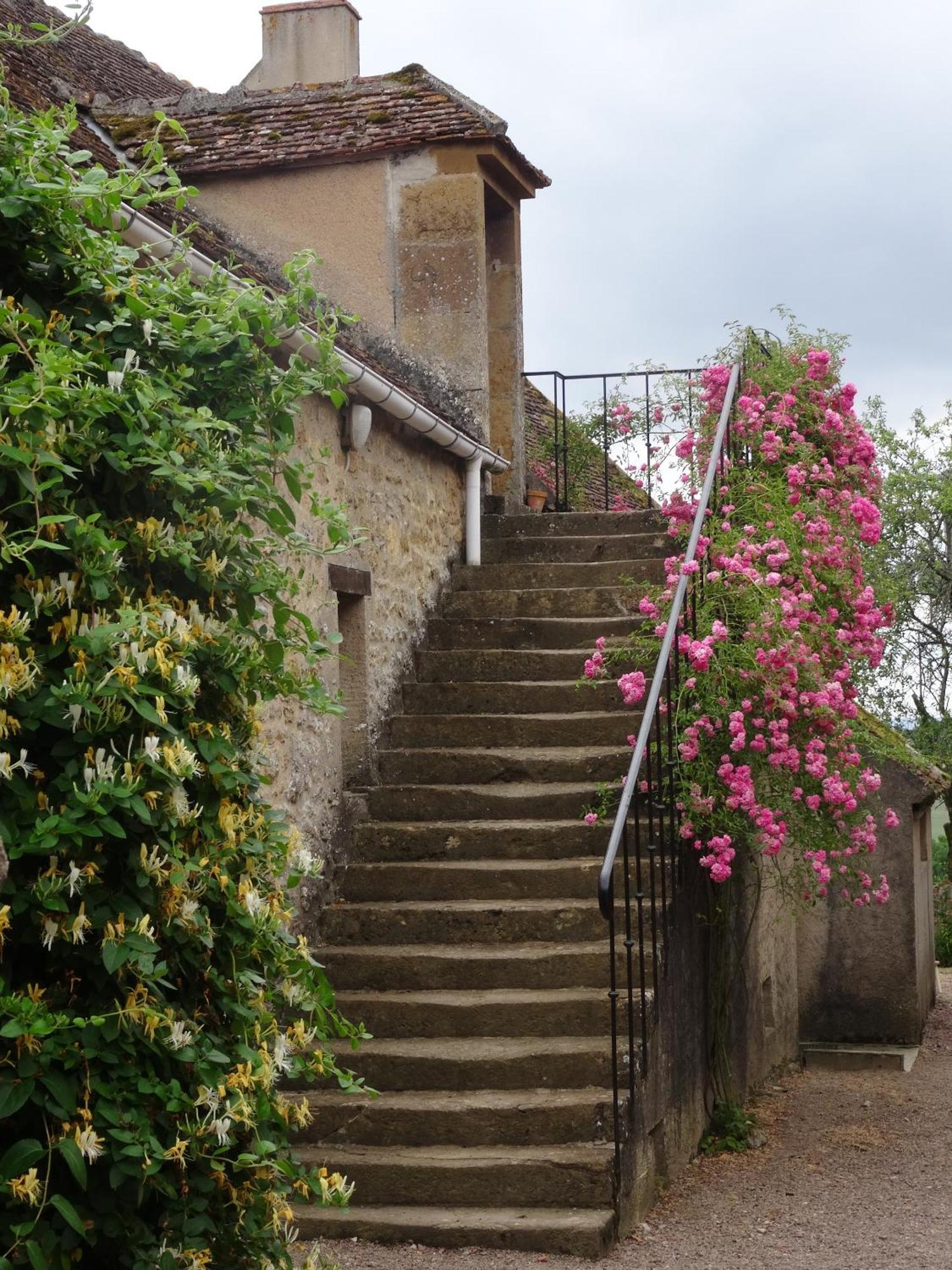 Bed and Breakfast Domaine de Drémont à Anthien Extérieur photo